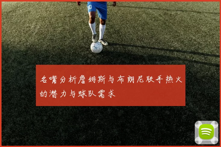 名嘴分析詹姆斯与布朗尼联手热火的潜力与球队需求