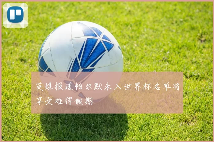 英媒报道帕尔默未入世界杯名单将享受难得假期