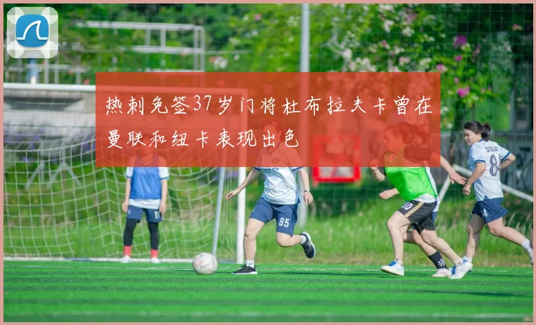 热刺免签37岁门将杜布拉夫卡曾在曼联和纽卡表现出色