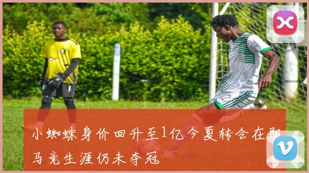 小蜘蛛身价回升至1亿今夏转会在即马竞生涯仍未夺冠